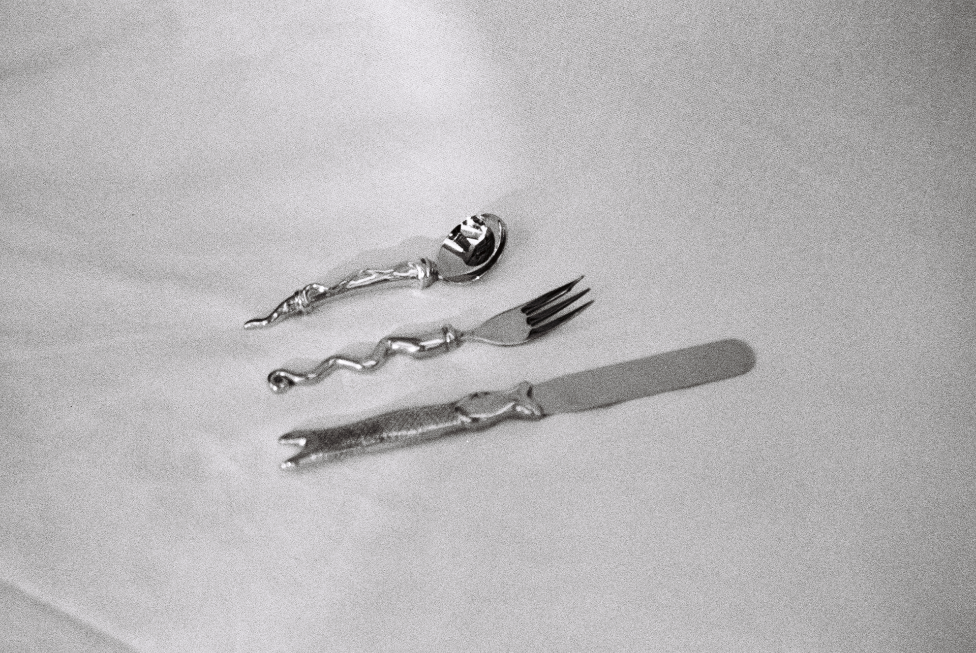 carol boyes fish flatware